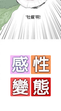 第28頁圖