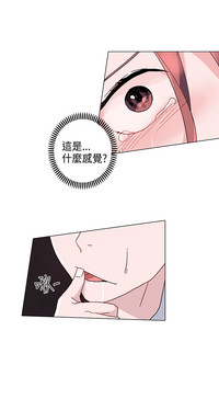 第244页图