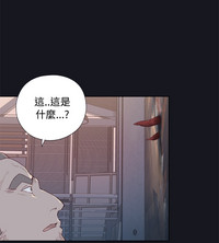 第84頁圖