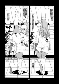 第20页图