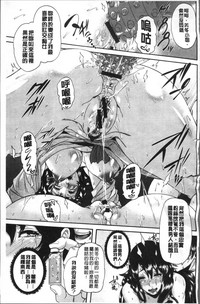 第224頁圖