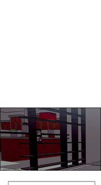 第248頁圖