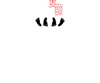 第48頁圖