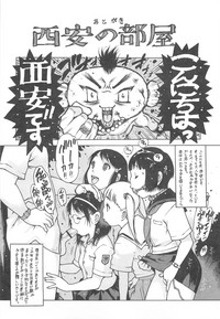 第204頁圖