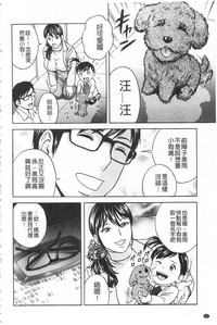 第84頁圖