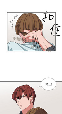 第244頁圖