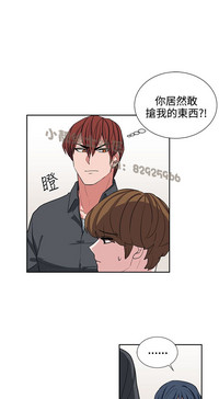 第248頁圖