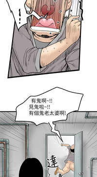 第204頁圖