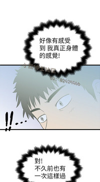 第252頁圖