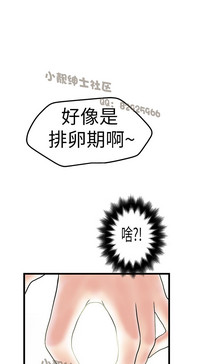 第268頁圖