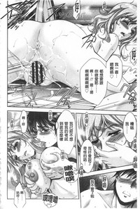 第80頁圖