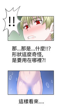 第484頁圖