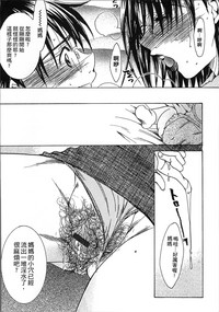 第140頁圖