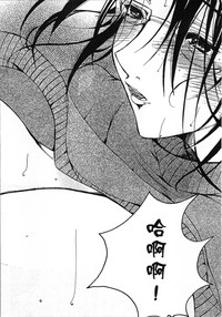 第196頁圖