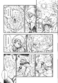 第224页图
