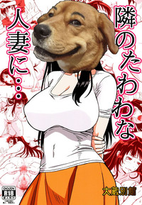第44頁圖