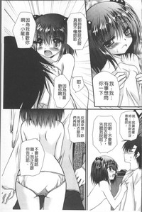 第176頁圖
