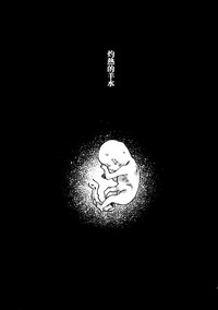 第40页图