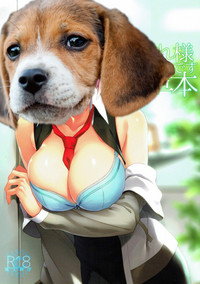 第24頁圖