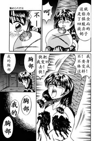 第48页图