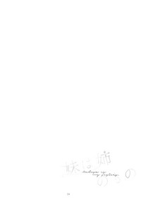 第24页图