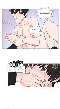 第528頁圖