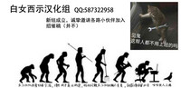 第24页图