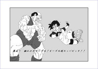 第204頁圖