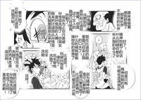 第216頁圖