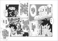 第224頁圖