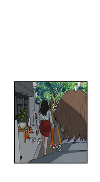 第332頁圖