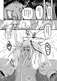 第20页图
