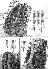 第8页图