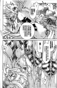 第164頁圖