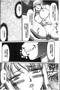 第216頁圖