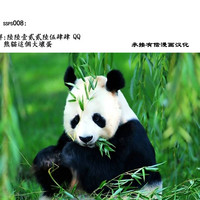 第52页图