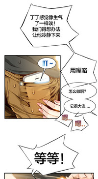 第48頁圖