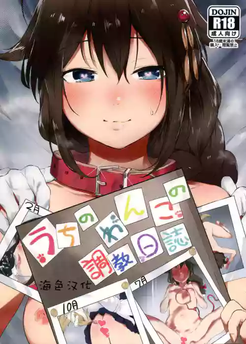 うちのわんこの調教日誌圖