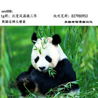 第40頁圖