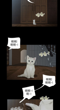 第88页图