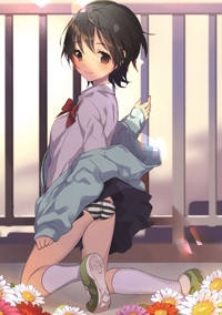 第8页图
