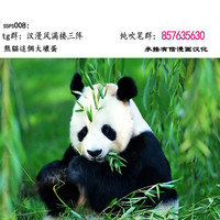 第68頁圖