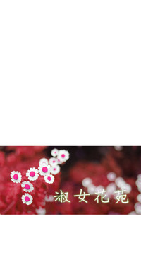 第548頁圖