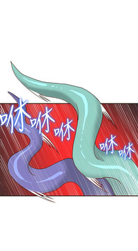 第508页图