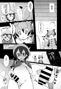 第4页图