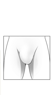 第44頁圖