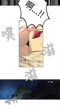 第480頁圖