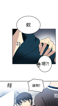 第560頁圖