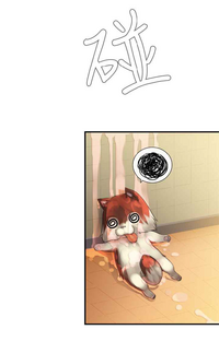 第172页图