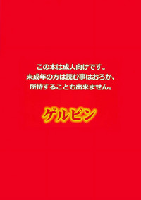 第28页图